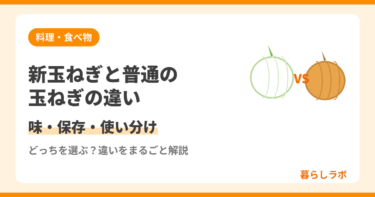 新玉ねぎと普通の玉ねぎの違い｜味・保存・使い分けを解説